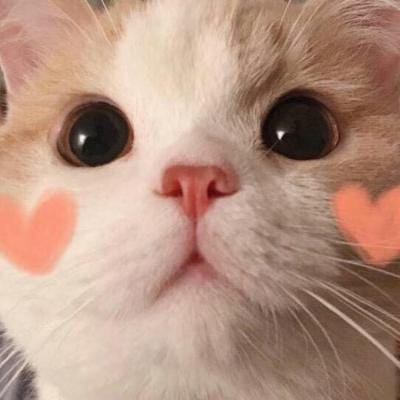 یونس خان avatar