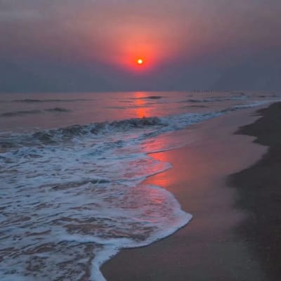 کامر آنمل avatar