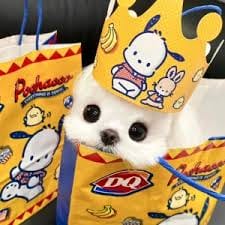 علی رضا avatar