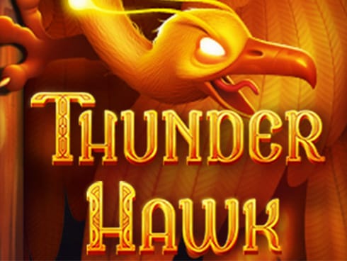 Thunder Hawk screenshot